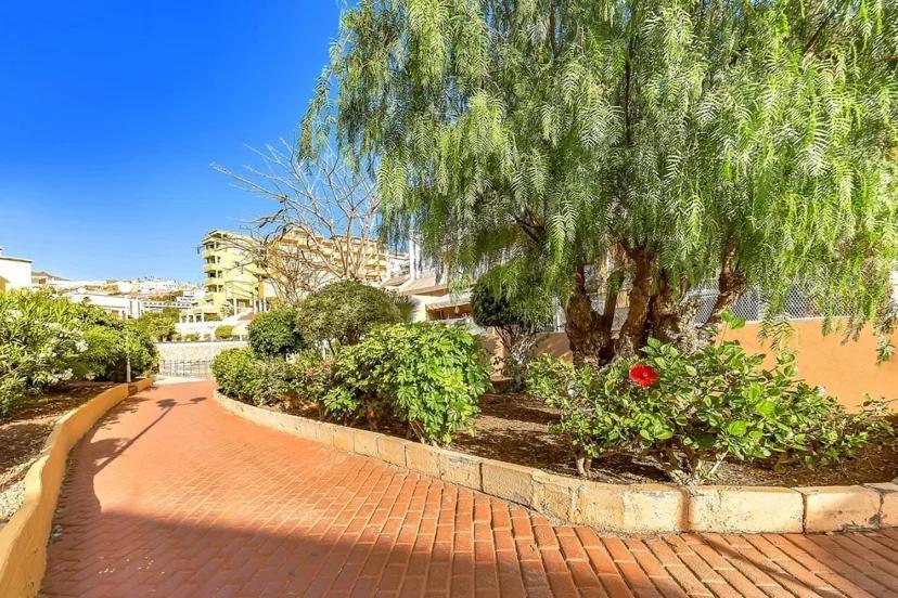 Tenerifeopenhome Costa Adeje Comfort Apartment 3 Pools 외부 사진